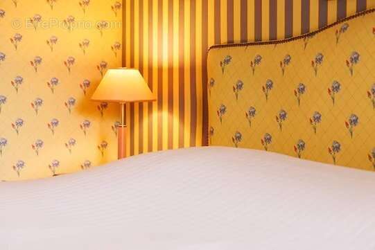 Vente murs de château exploité hôtel restaurant événementiel – Brive-la-Gaillarde (Corrèze - 19) - photo 5