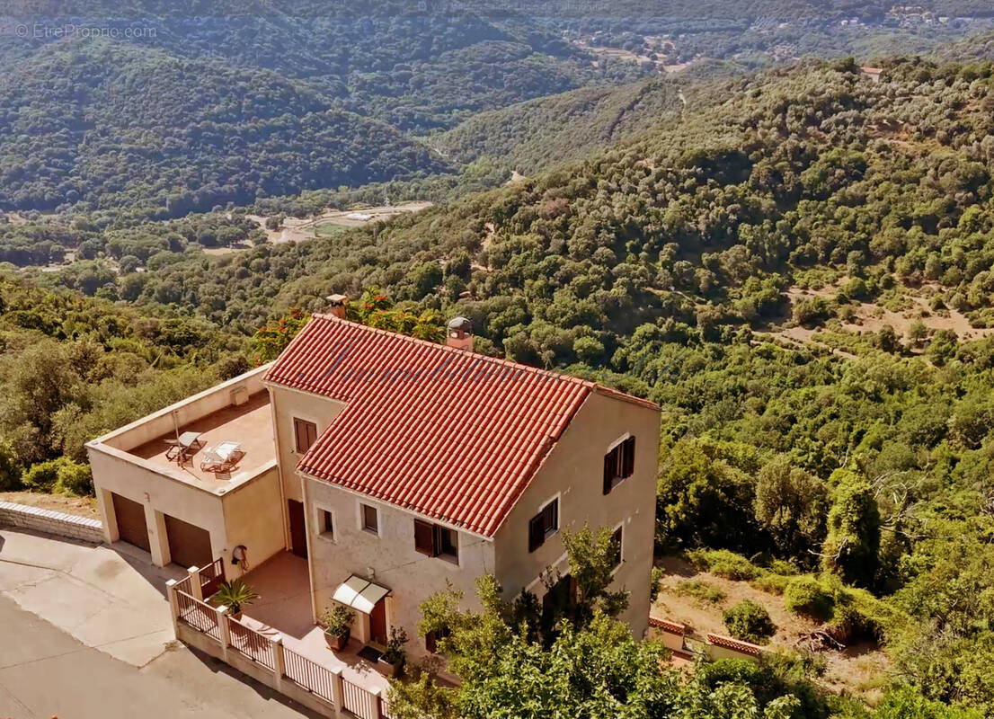 Maison à SAINTE-LUCIE-DE-TALLANO