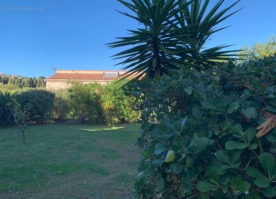 Maison à L&#039;ILE-ROUSSE