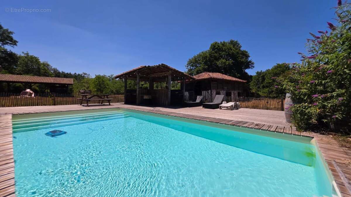 Magnifique et authentique Airial des Landes - photo 40