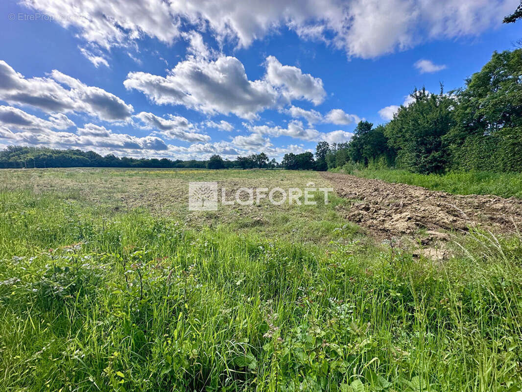 Maison à vendre Ambérieux En Dombes 6 pièce(s) 151.71 m2 - photo 6