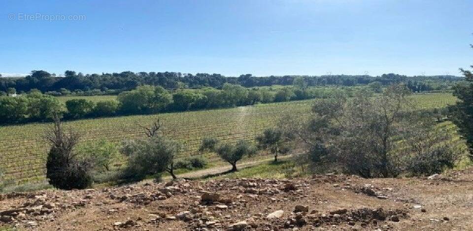Terrain à RIEUX-MINERVOIS