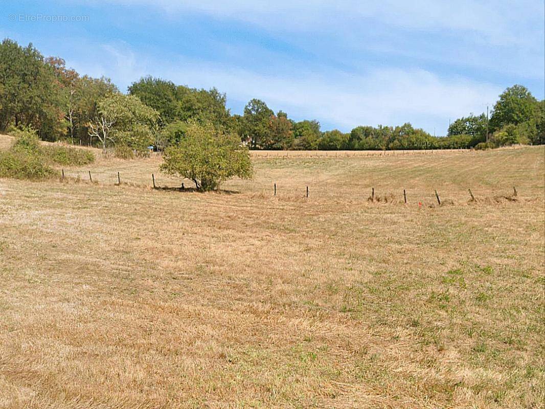 Terrain à DOMME