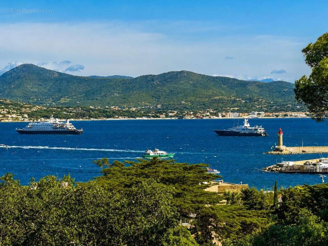Photo 2 - Appartement à SAINT-TROPEZ