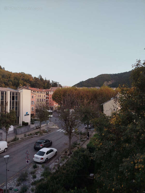 Appartement Digne Les Bains 5 pièce(s) 120 m2 - photo 10