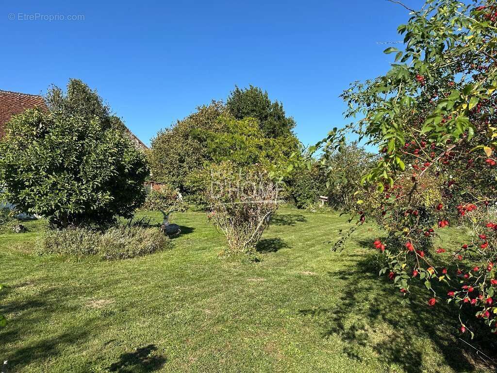 Maison à LA FERTE-GAUCHER