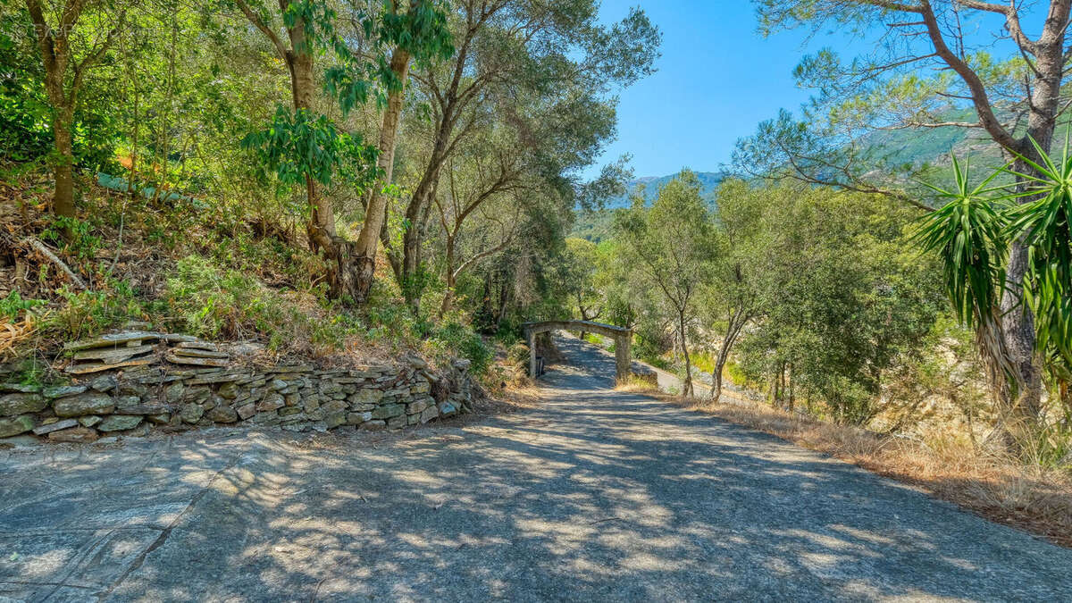 Maison à SAN-MARTINO-DI-LOTA