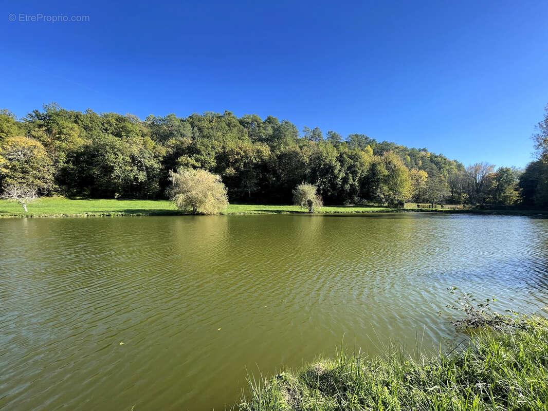 Terrain à VILLAMBLARD
