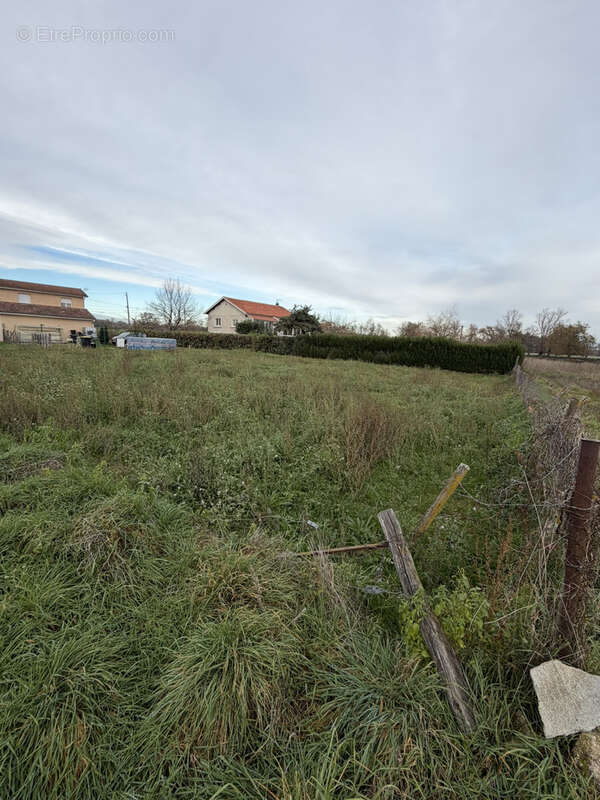 Terrain à PONCINS