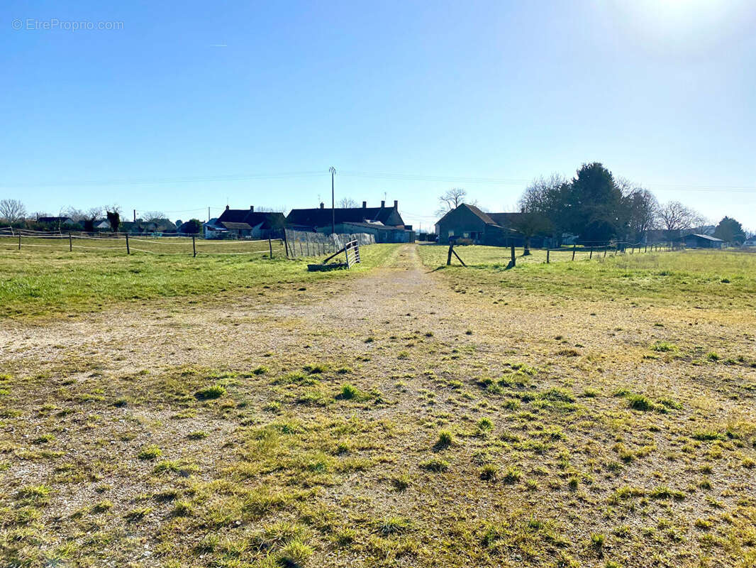 Terrain à CHATILLON-SUR-CHER