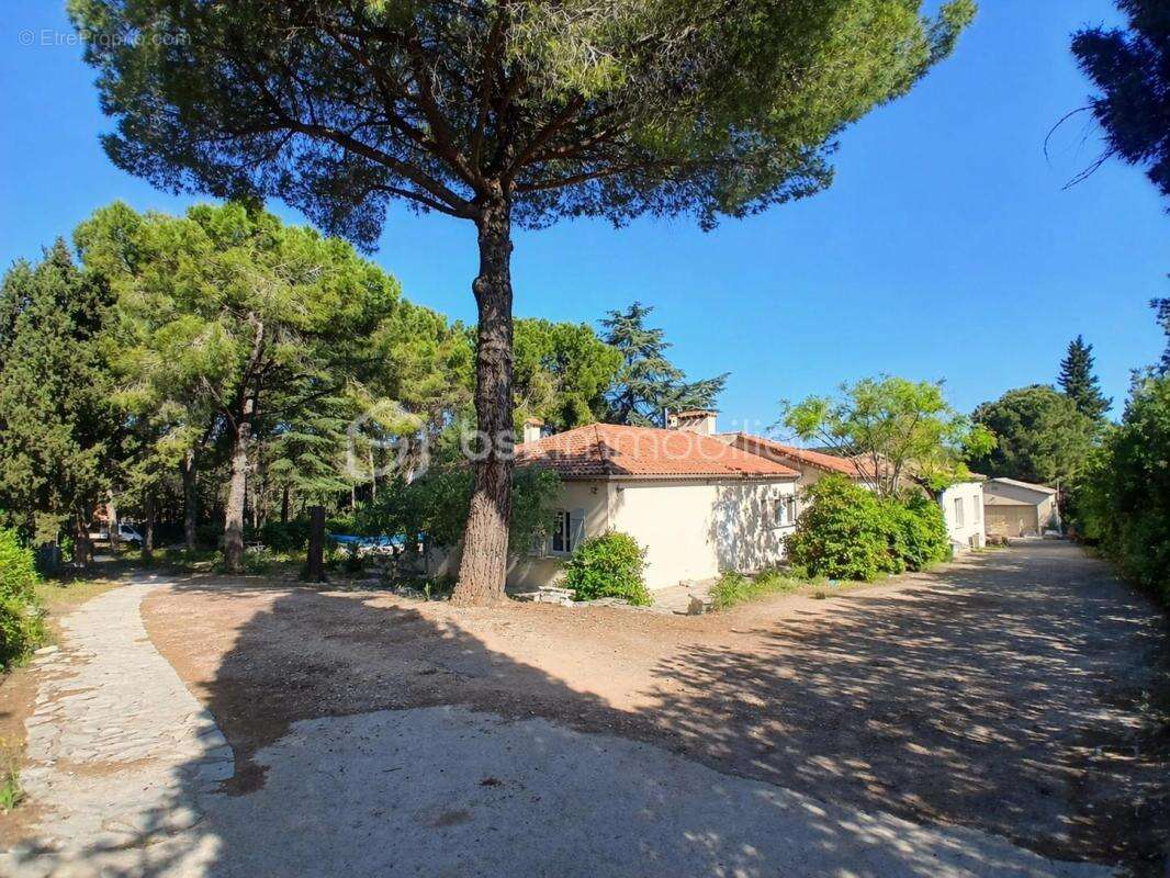 Rare : 2 maisons sur une seule parcelle à CLERMONT-L'HERAULT - photo 2