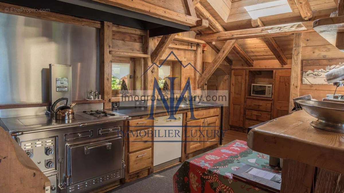 Commerce à ARACHES-LA-FRASSE