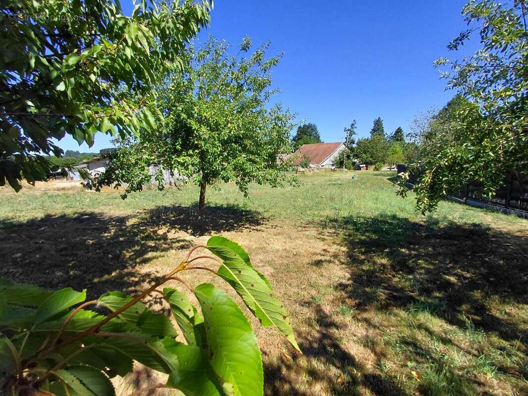 Photo 3 - Maison à SAINT-SAUD-LACOUSSIERE