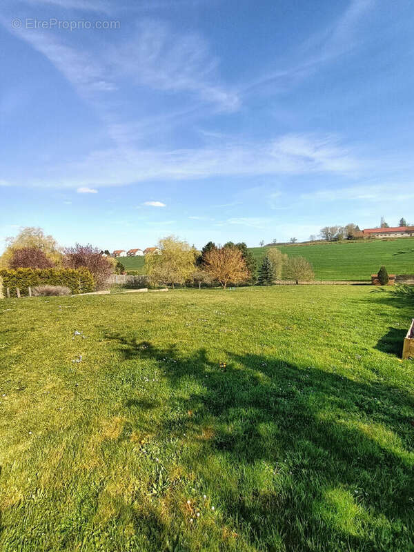 Maison à WOUSTVILLER