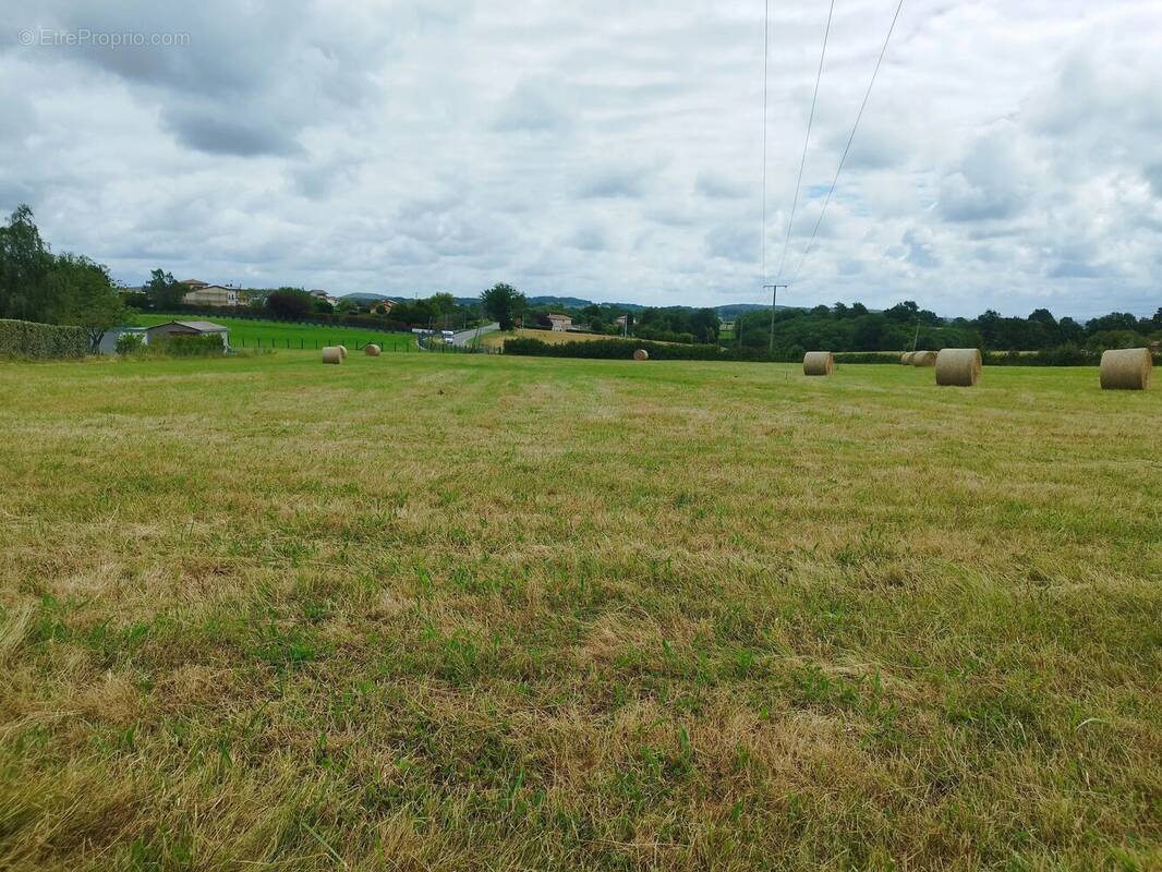 Terrain à SAINT-GAUDENS