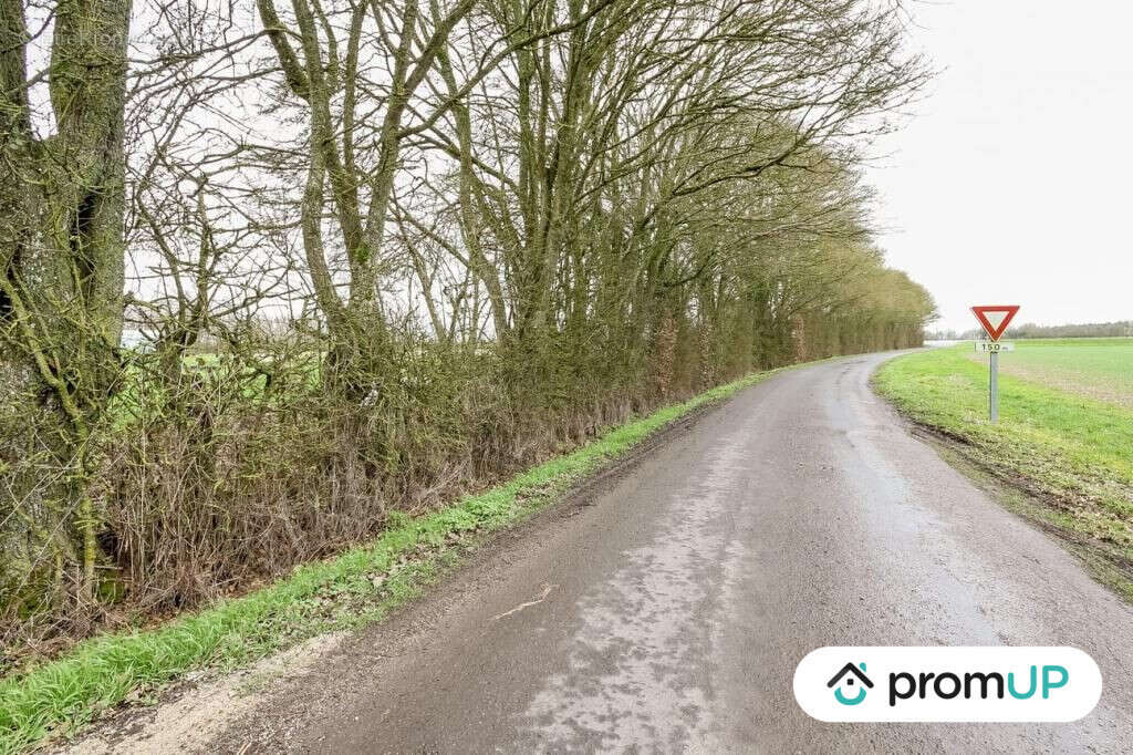 Terrain à CHAILLOUE