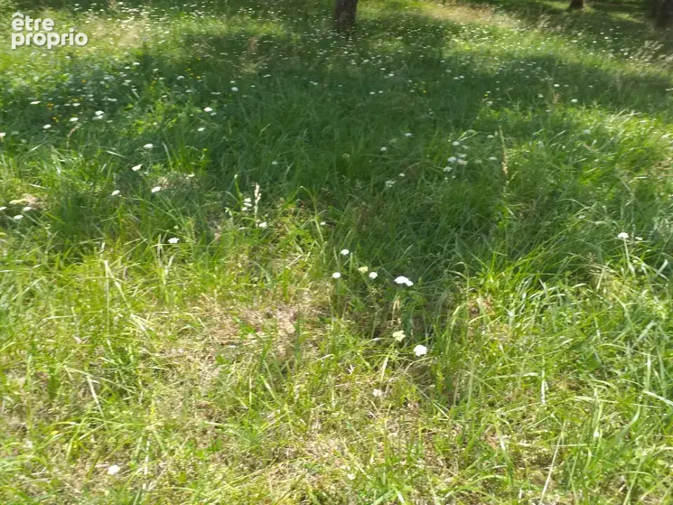 Photo Terrain à Naujan-Et-Postiac au prix de 49 000€