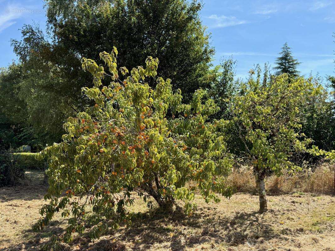 Maison à SAINT-COUTANT