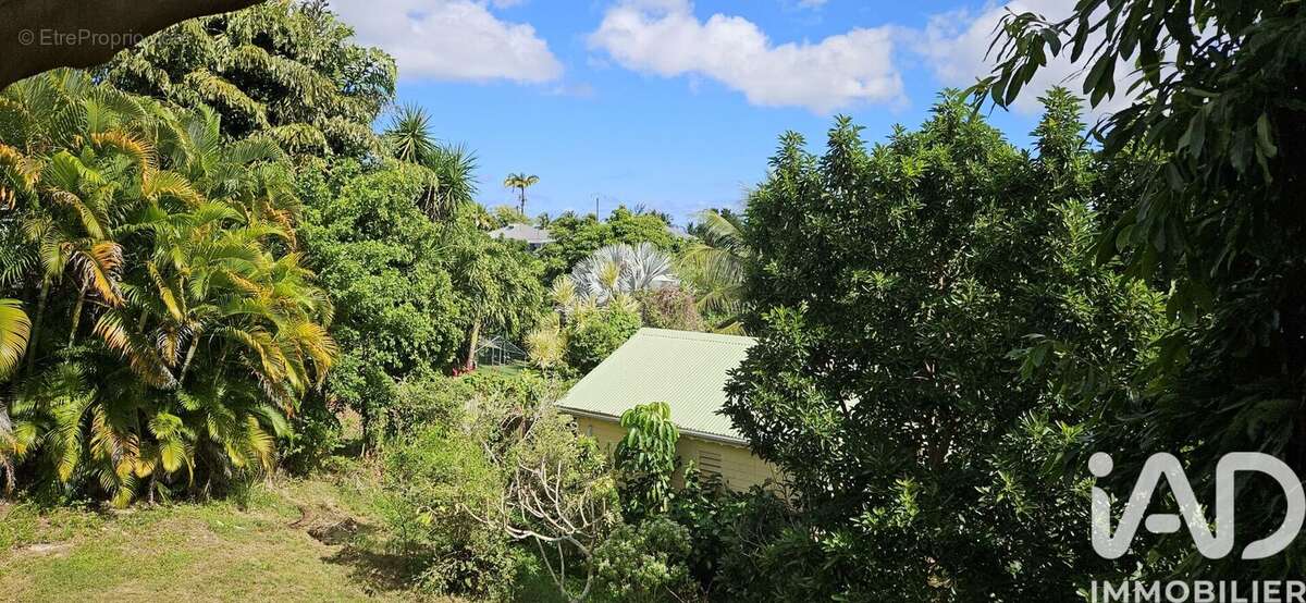 Photo 7 - Maison à SAINTE-ANNE