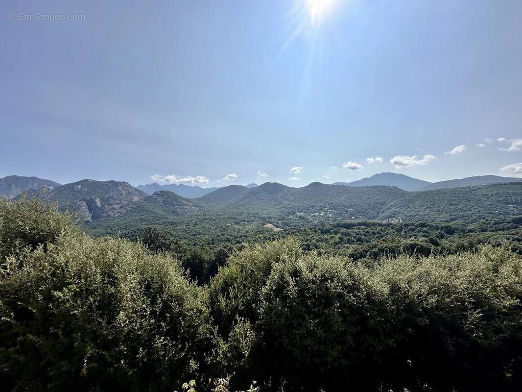 Maison à ECCICA-SUARELLA