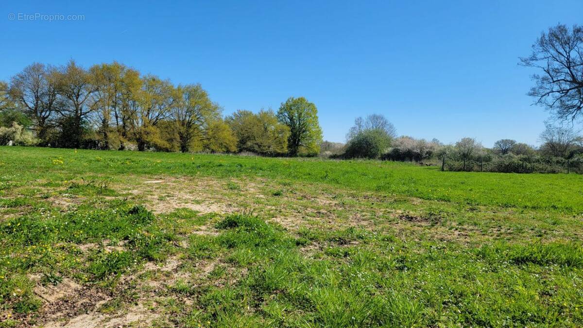 Terrain à ECUILLE