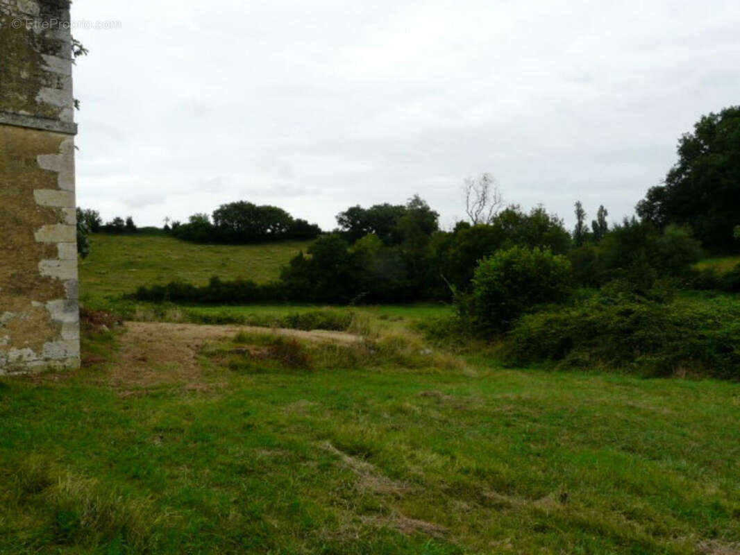 Ancienne Maison de Maître terre et bois 6 Ha - photo 18
