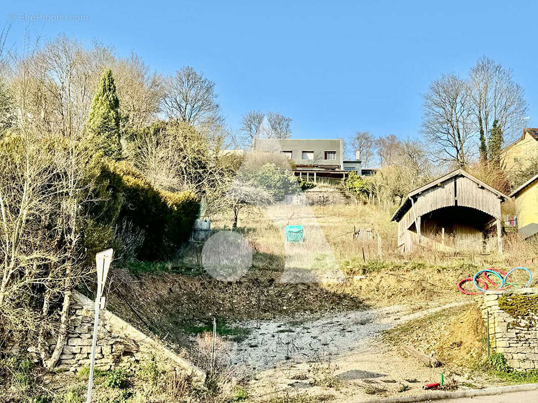 Terrain à NEUFCHATEAU