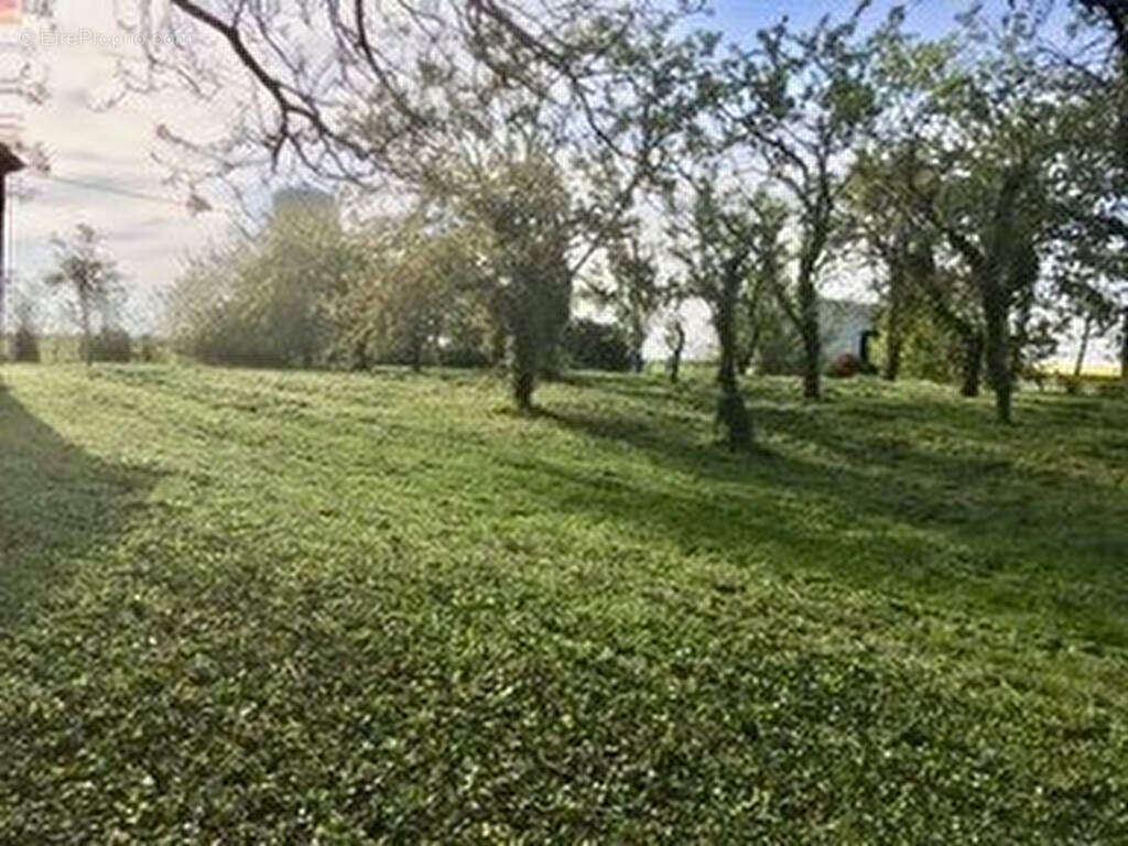 Terrain à CRUCHERAY