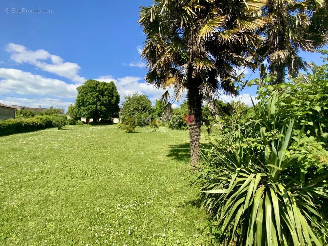 Maison à SAINT-FORT-SUR-GIRONDE
