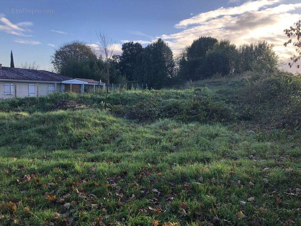 TERRAIN CONSTRUCTIBLE NON VIABILISE 655 m2 2ème LIGNE - Terrain à VERTHEUIL