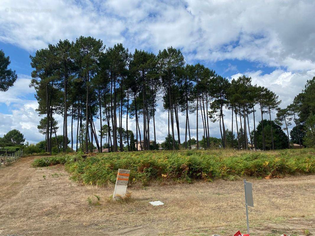Terrain à SAINT-AUBIN-DE-MEDOC