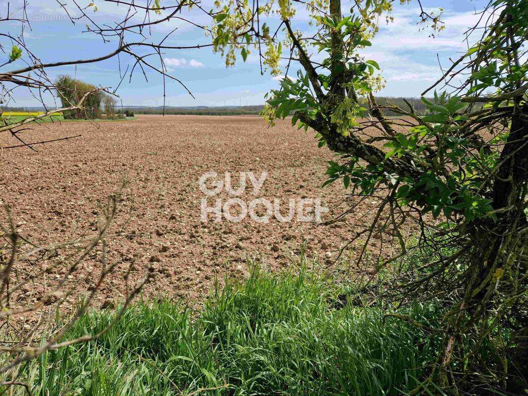 Maison à BREUIL-LA-REORTE