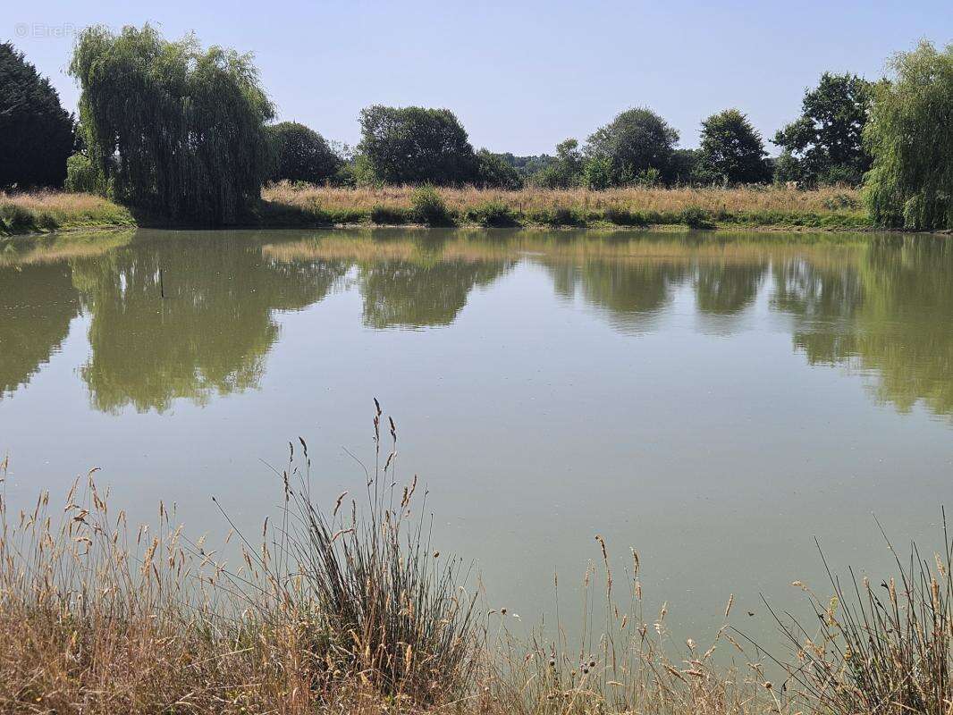 Terrain à PANNECE