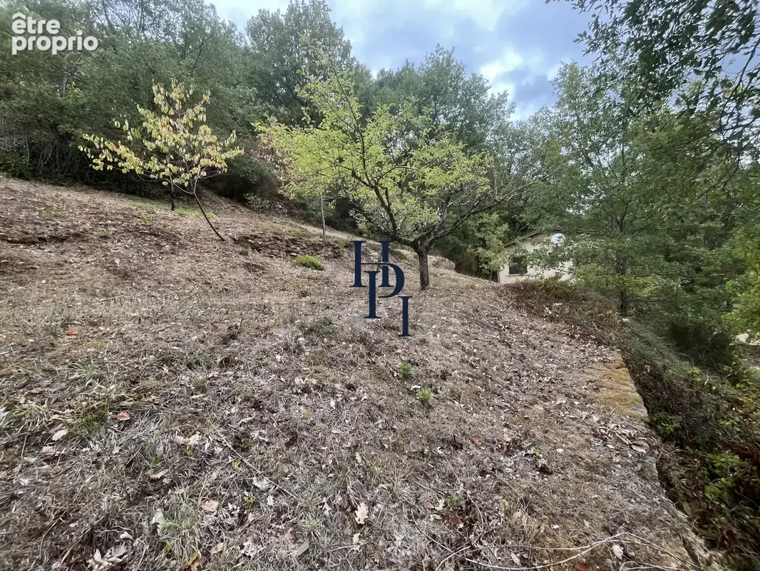 Maison sur terrain de 4334 m2 avec vue sur le Tarn. - photo 13