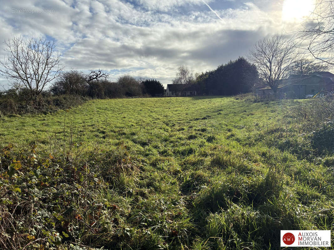 Terrain à TORCY-ET-POULIGNY