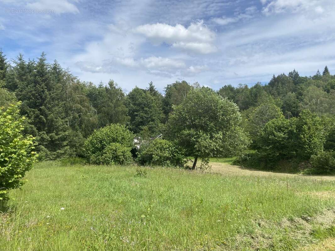 Terrain à BUGEAT