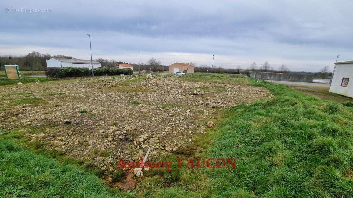 Terrain en zone artisanal Chateau Guibert 2176 m2 - photo 2