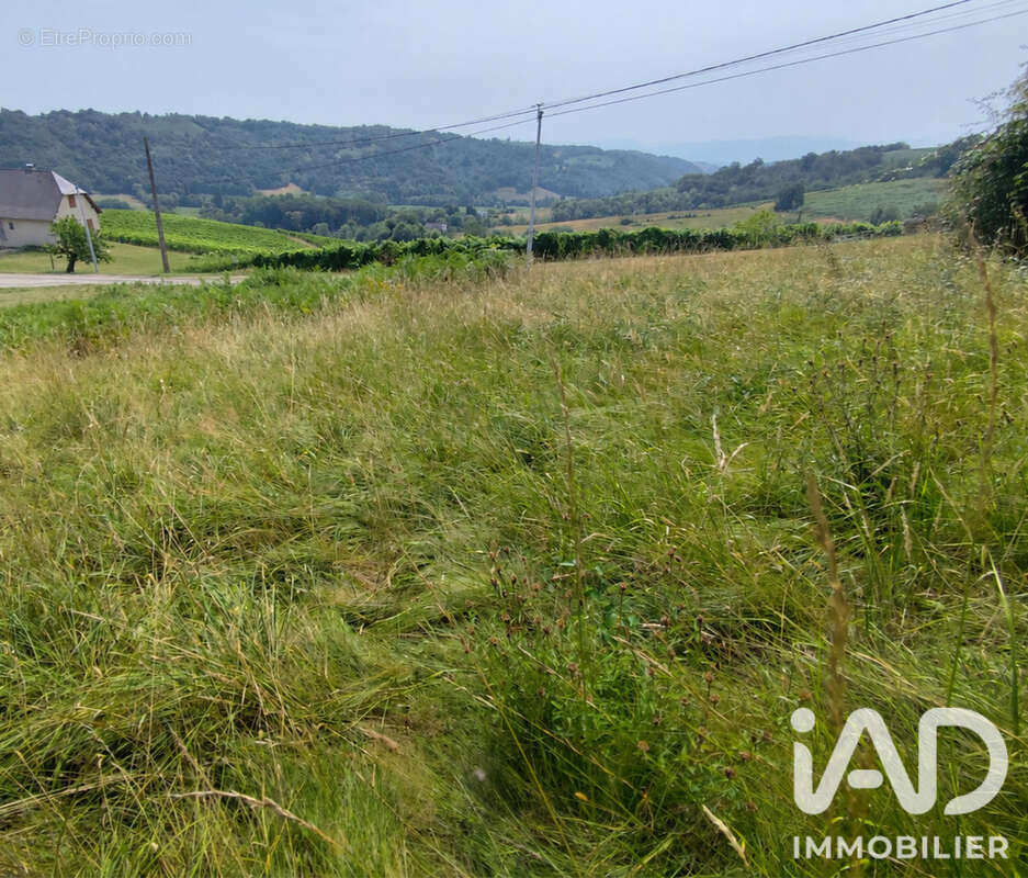 Terrain 1000 m² à Monein  - photo 2