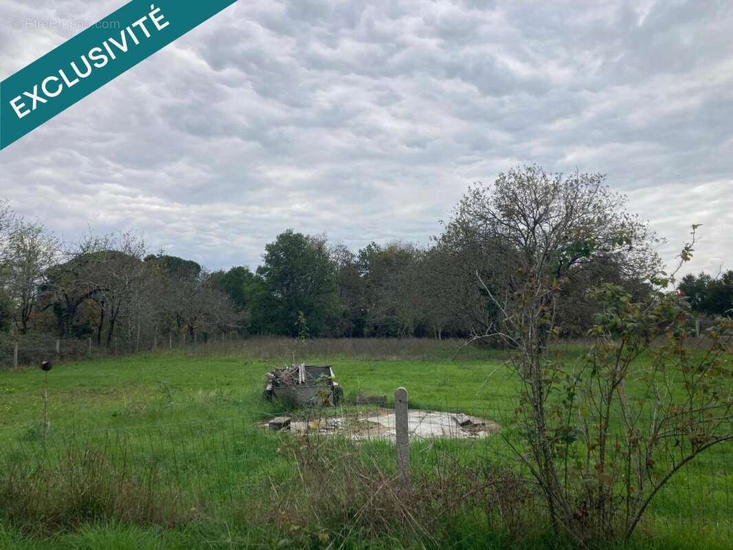 Photo 4 - Maison à LES EGLISOTTES-ET-CHALAURES