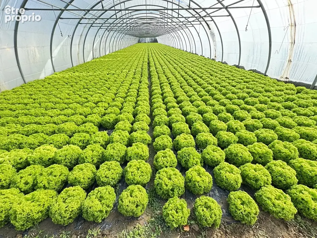 Domaine agricole Bompas et Villelongue de la Salanque 31000 m2 - photo 8