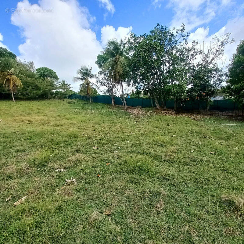 Terrain à LE GOSIER