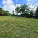 Terrain à LE GOSIER