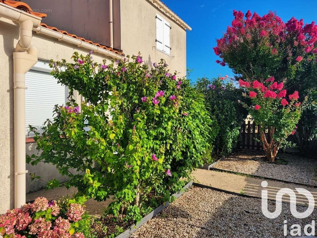 Photo 4 - Maison à SAINT-GILLES-CROIX-DE-VIE