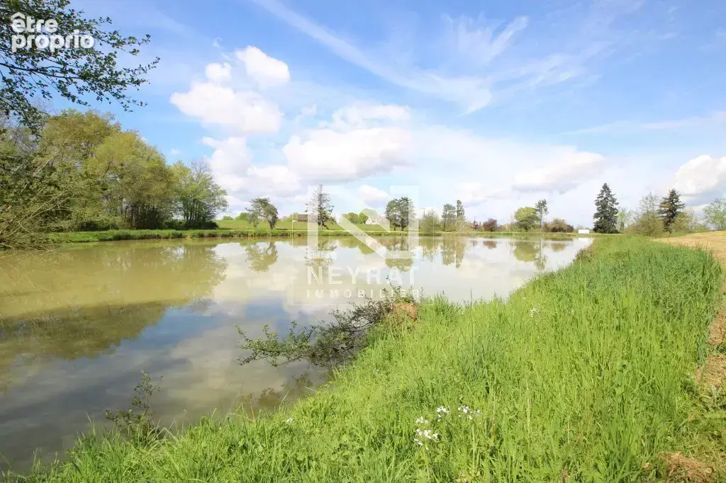 Etang avec sources - photo 3