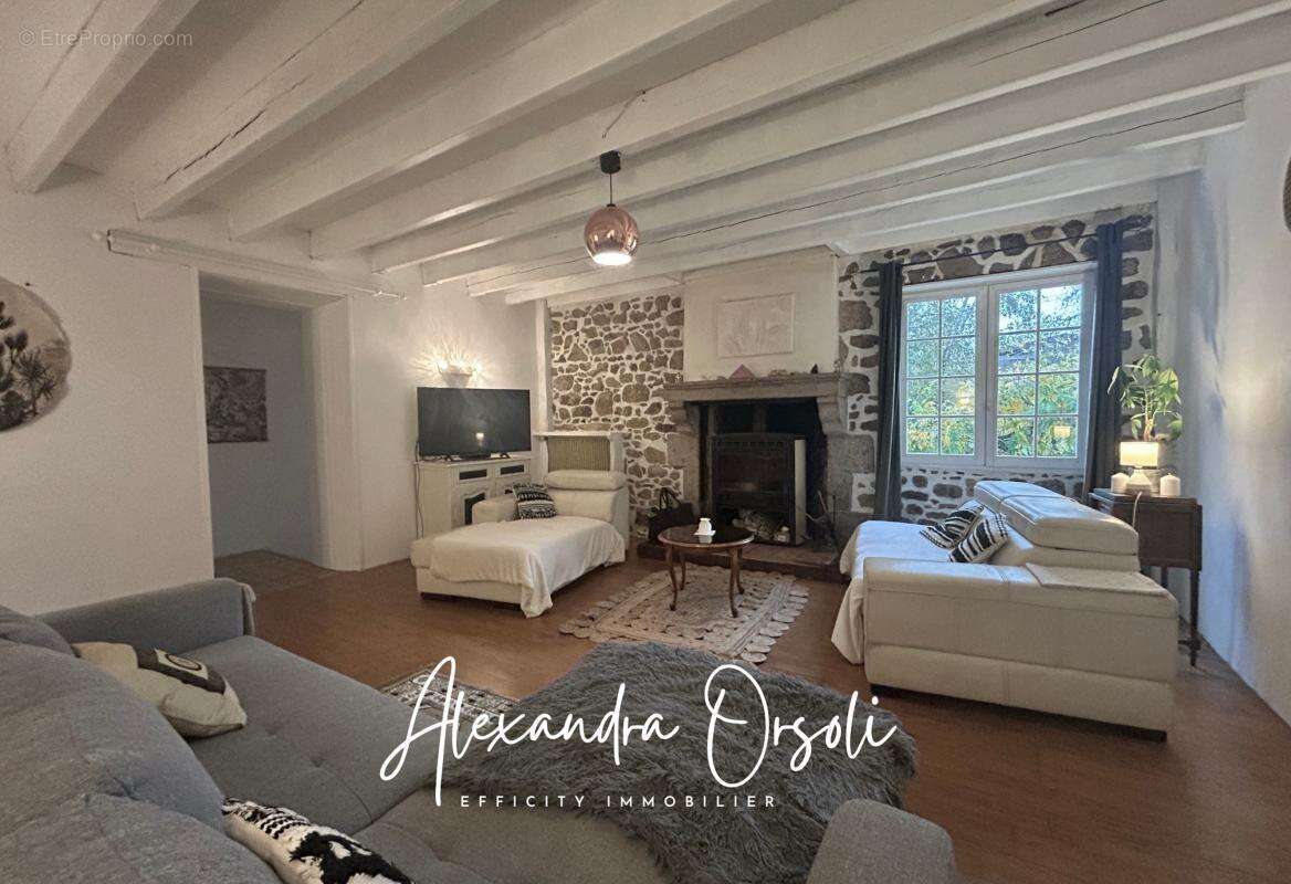 Maison à BELLEVILLE-SUR-VIE