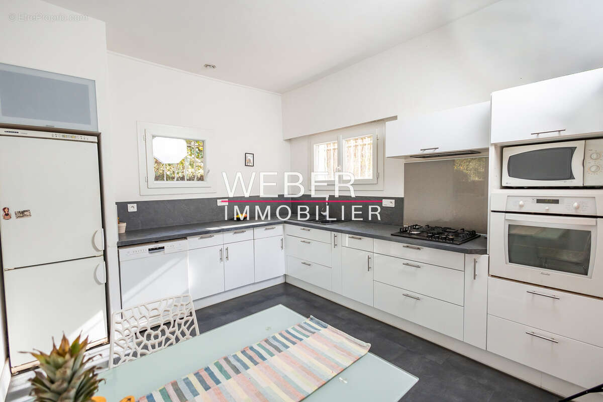- ollioules - gros cerveau - maison 140 m2 + 2 appartements independants + 2800 m2 terrain - photo 5