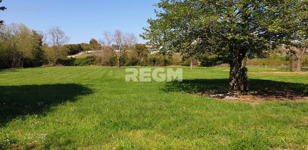 Maison à CANALE-DI-VERDE