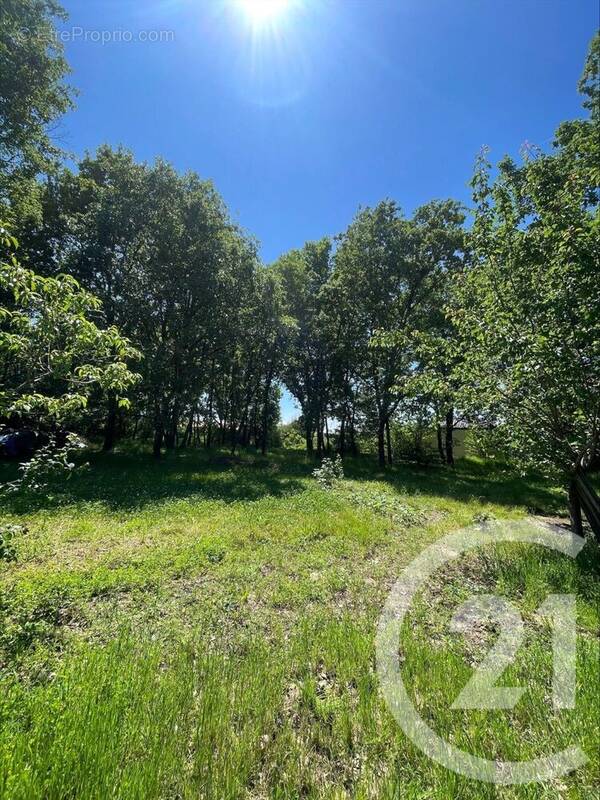 Terrain à MONTAUBAN