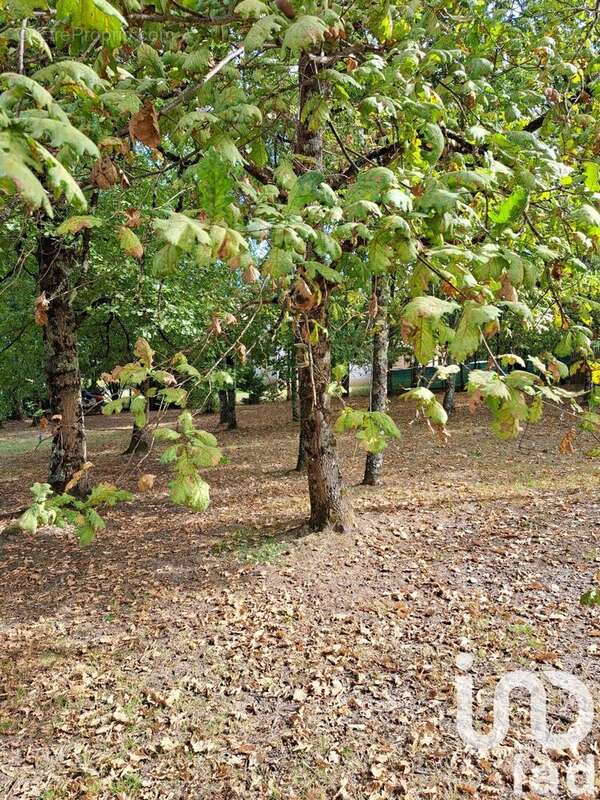 Photo 4 - Maison à SAINT-NICOLAS-DE-LA-GRAVE