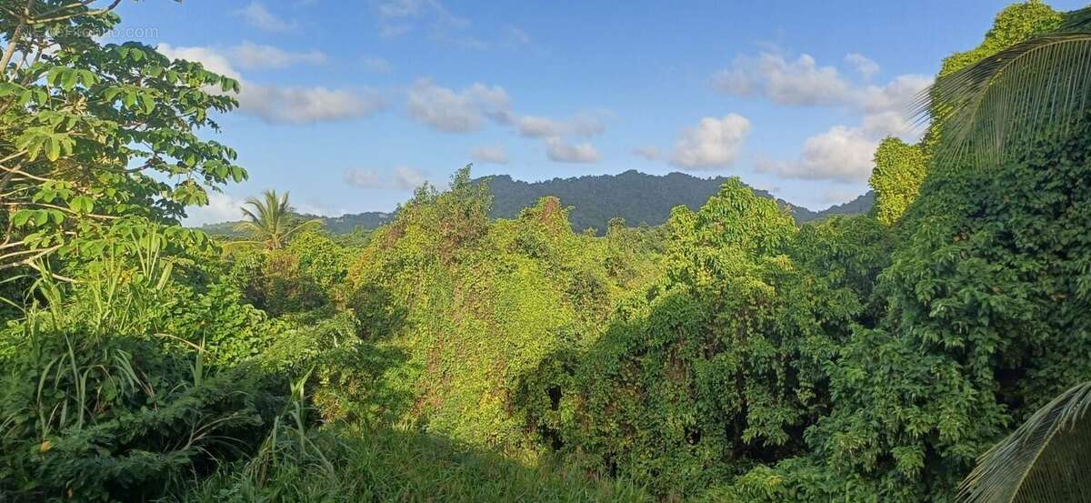 Maison à LE FRANCOIS